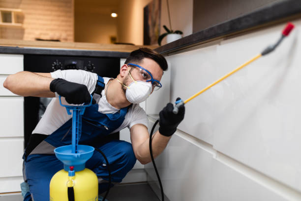 Best Mosquito Control Services  in Audubon Park, NJ
