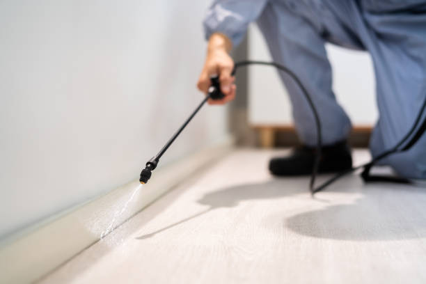 Flea Control Services in Audubon Park, NJ