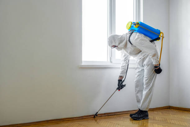 Best Pest Removal Services  in Audubon Park, NJ
