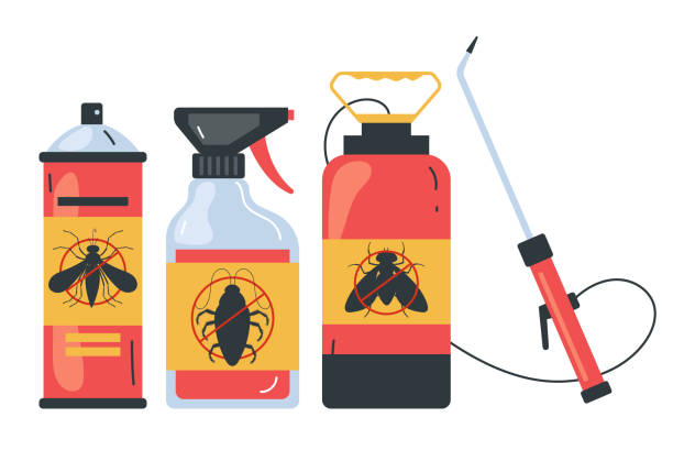 Best Wasp Removal Services  in Audubon Park, NJ