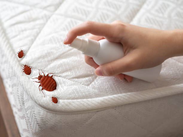  Audubon Park, NJ Pest Control Pros
