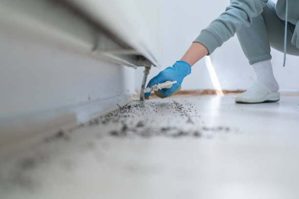 Best Pest Control for Homes  in Audubon Park, NJ